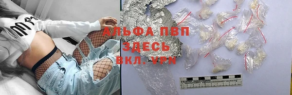 ешки Белокуриха