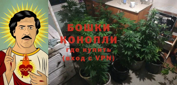 ешки Белокуриха