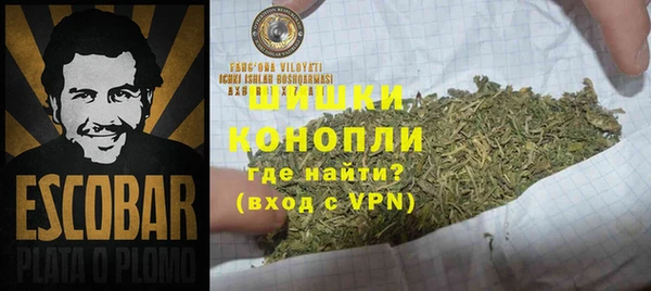 эйфоретик Покачи