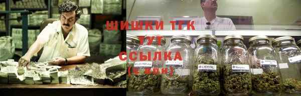 прущие крисы Беломорск